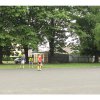 DSCF8295