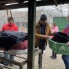 Barcsi Természet-és Állatvédő Egyesület