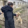 Barcsi Természet-és Állatvédő Egyesület